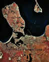 SgHrbrWeb.jpg (64203 bytes)
